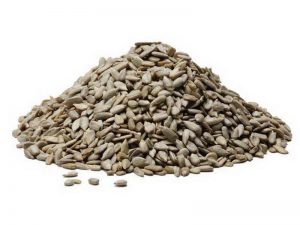 2.5 KG SUNFLOWER SEEDS