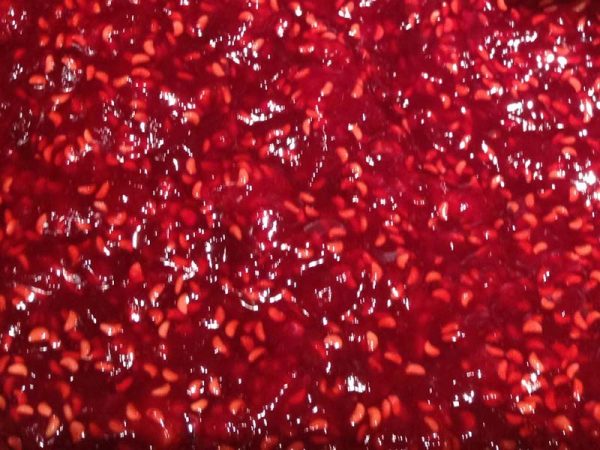 12.5 KG RASPBERRY JAM WITH SEEDS