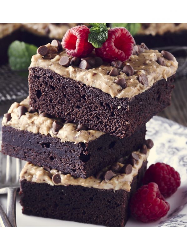 12.5 KG CHOC FUDGE BROWNIE MIX CRAIGMILLAR FWG