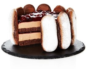 12.5 KG Puratos Tegral Chocolate Sponge Mix