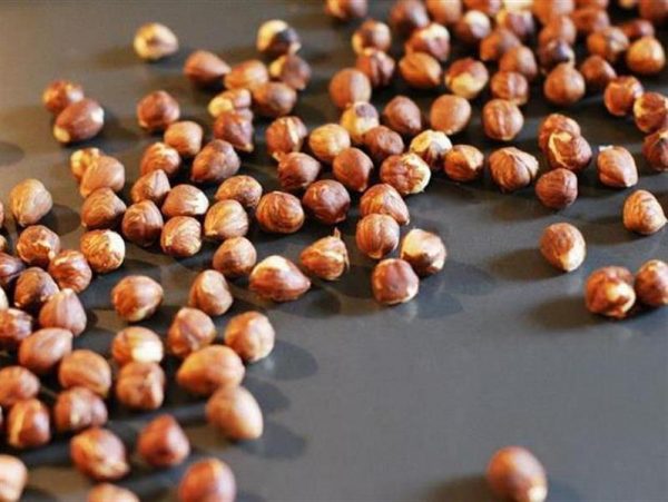 12.5 KG WHOLE BLANCHED HAZELNUTS 10433 LUBECA