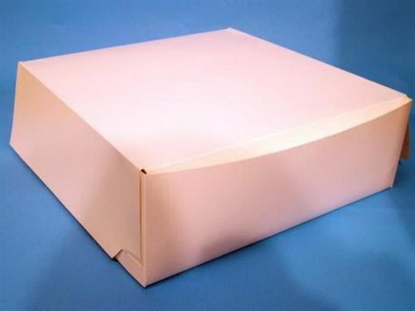 100 PCS CAKE BOXES 10X10X3"