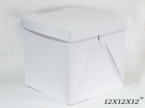 10 PCS CUBE CAKE BOXES WITH LIDS 12X12X12"