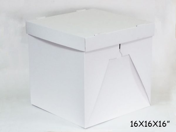 10 PCS CUBE CAKE BOXES WITH LIDS 16X16X16