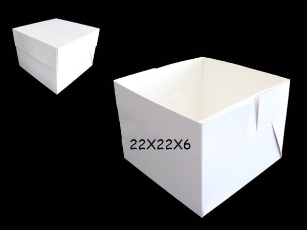 HEAVY DUTY WEDDING CAKE BOX 22X22X6"