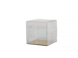 100 PCS TRANSPARENT BOXES 50X50X50