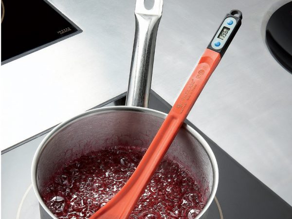 SPATULE THERMOMETRE 200 DEGREE 385MM
