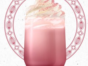 1 KG VAN HOUTEN RUBY CHOCOLATE DRINK POWDER (HOT CHOCOLATE) 1KG